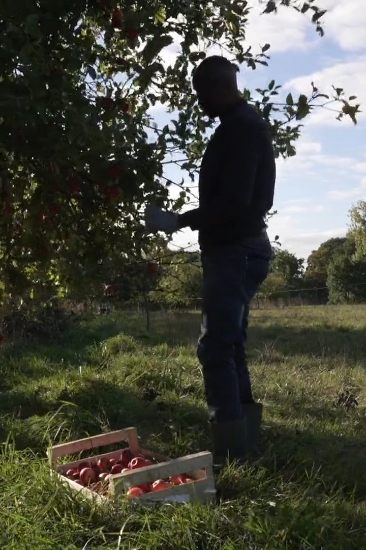 Poster de C’est pas parce qu’on est dans la galère qu’on doit mal bouffer