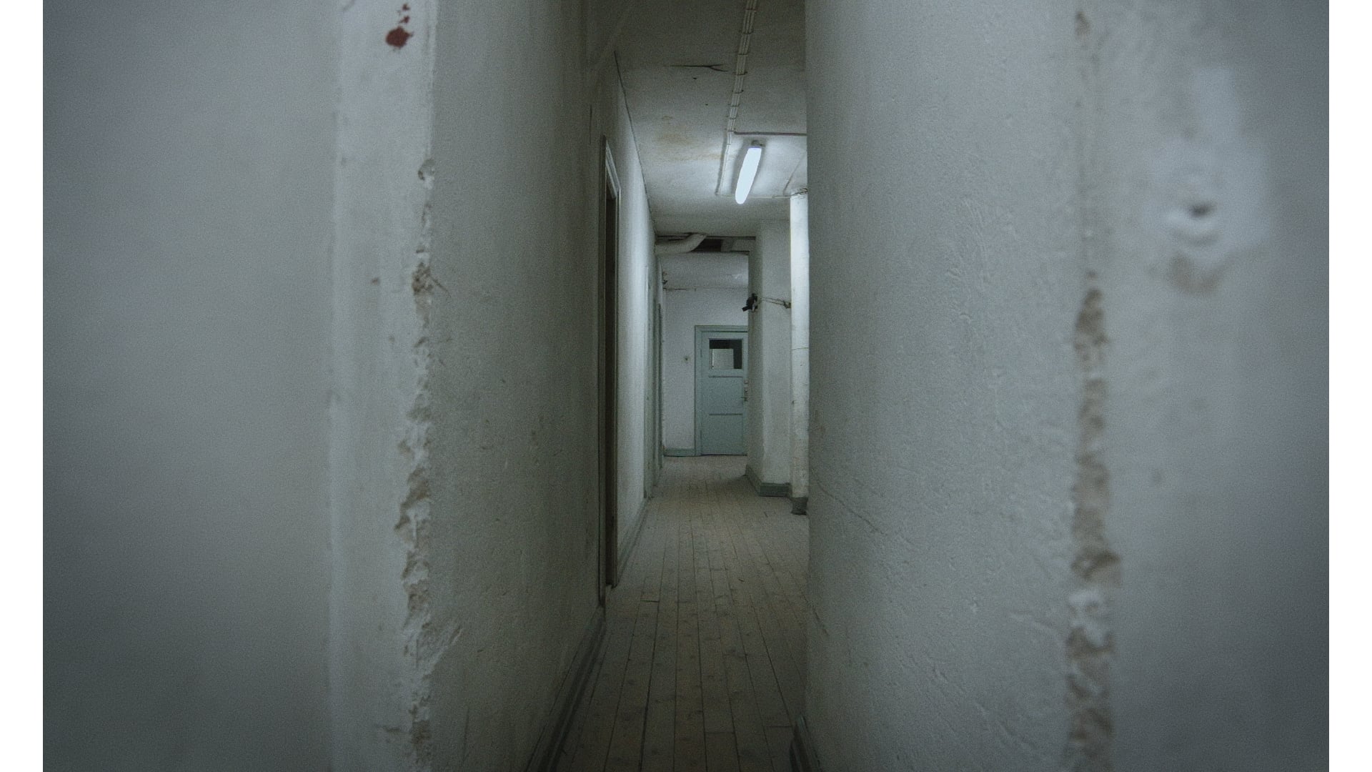 Johan Windh