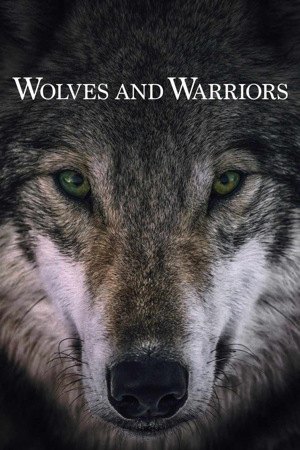 Poster de Wolves and Warriors