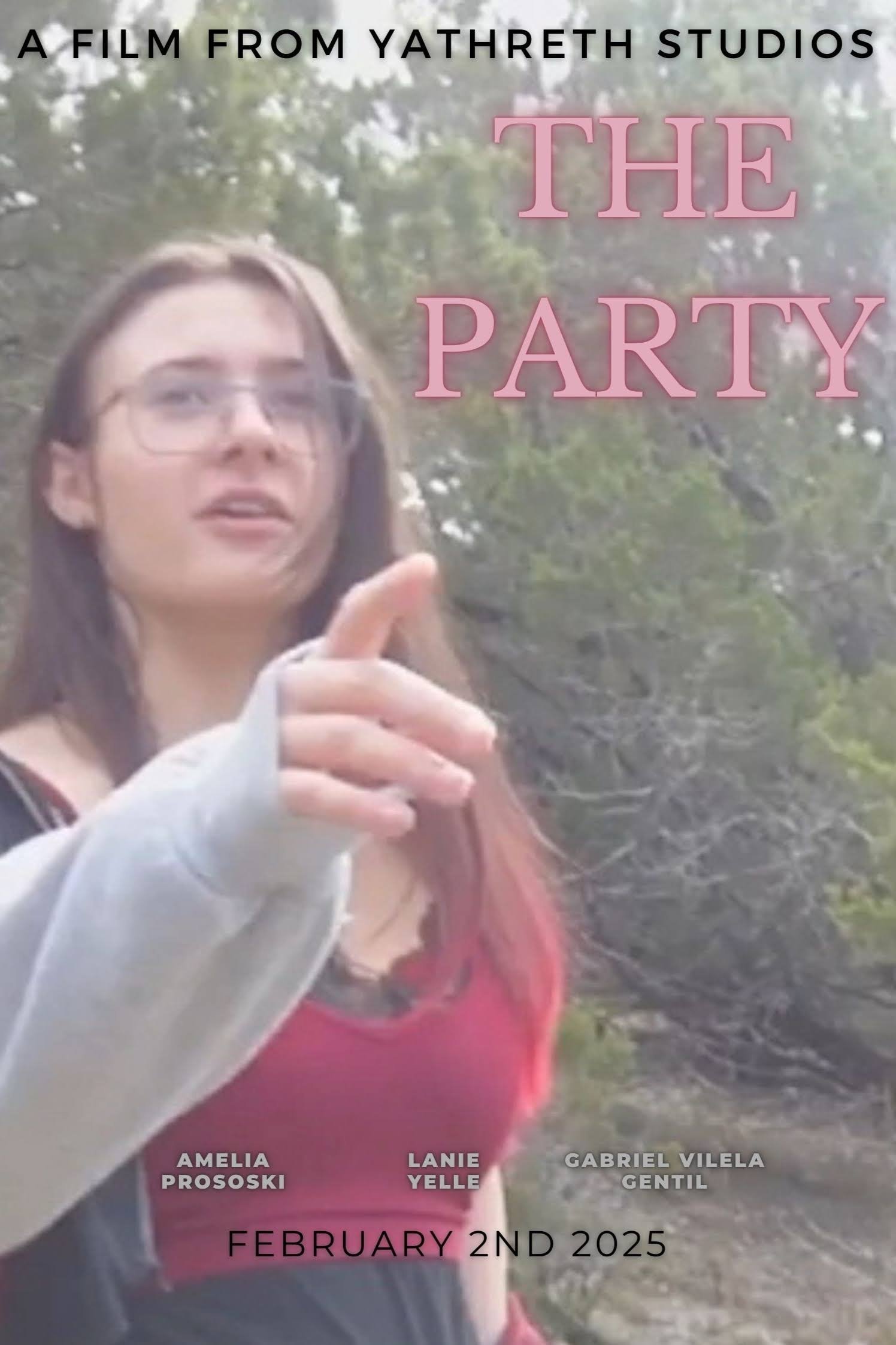 Poster de The Party