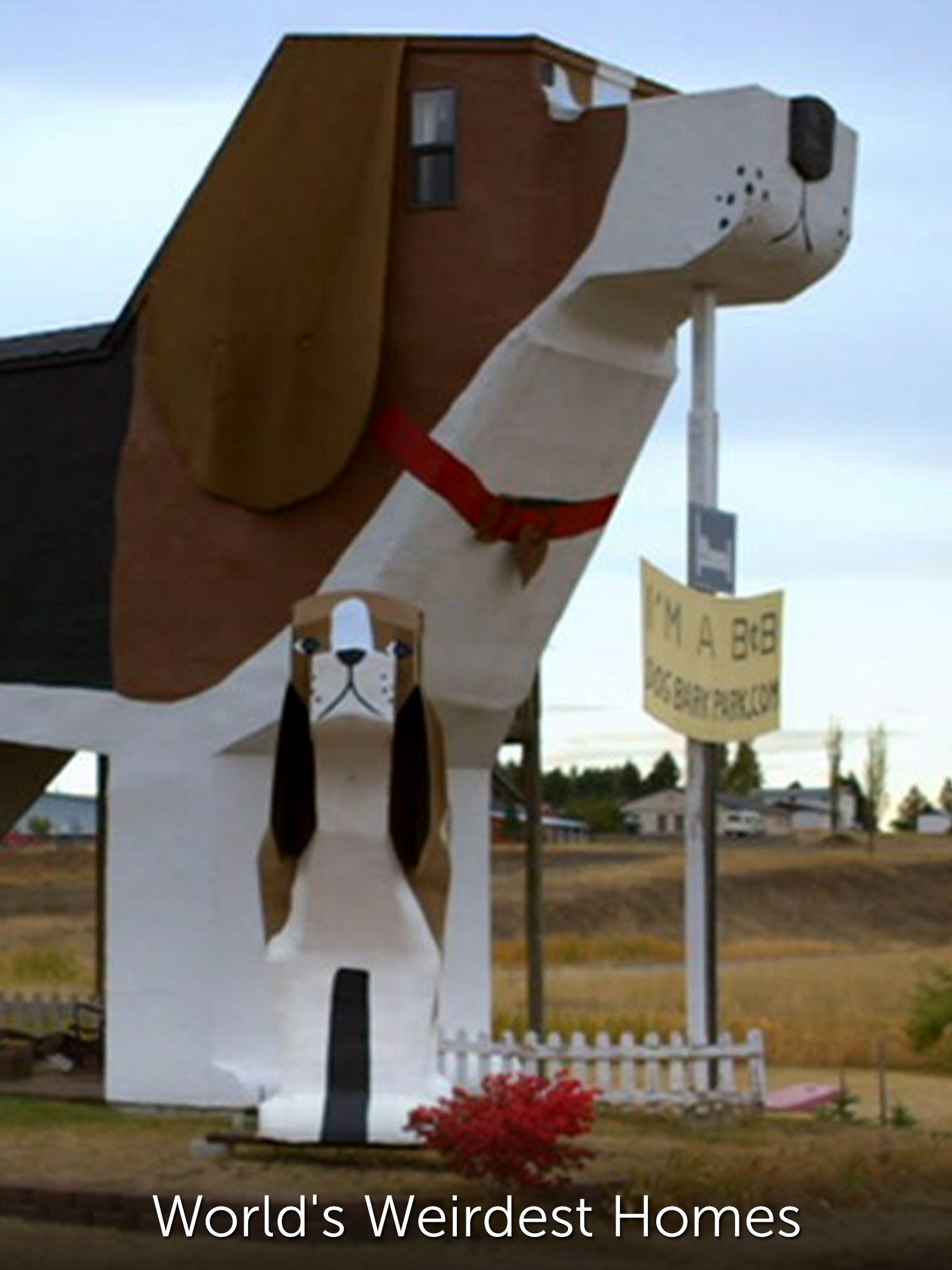 Poster de World's Weirdest Homes