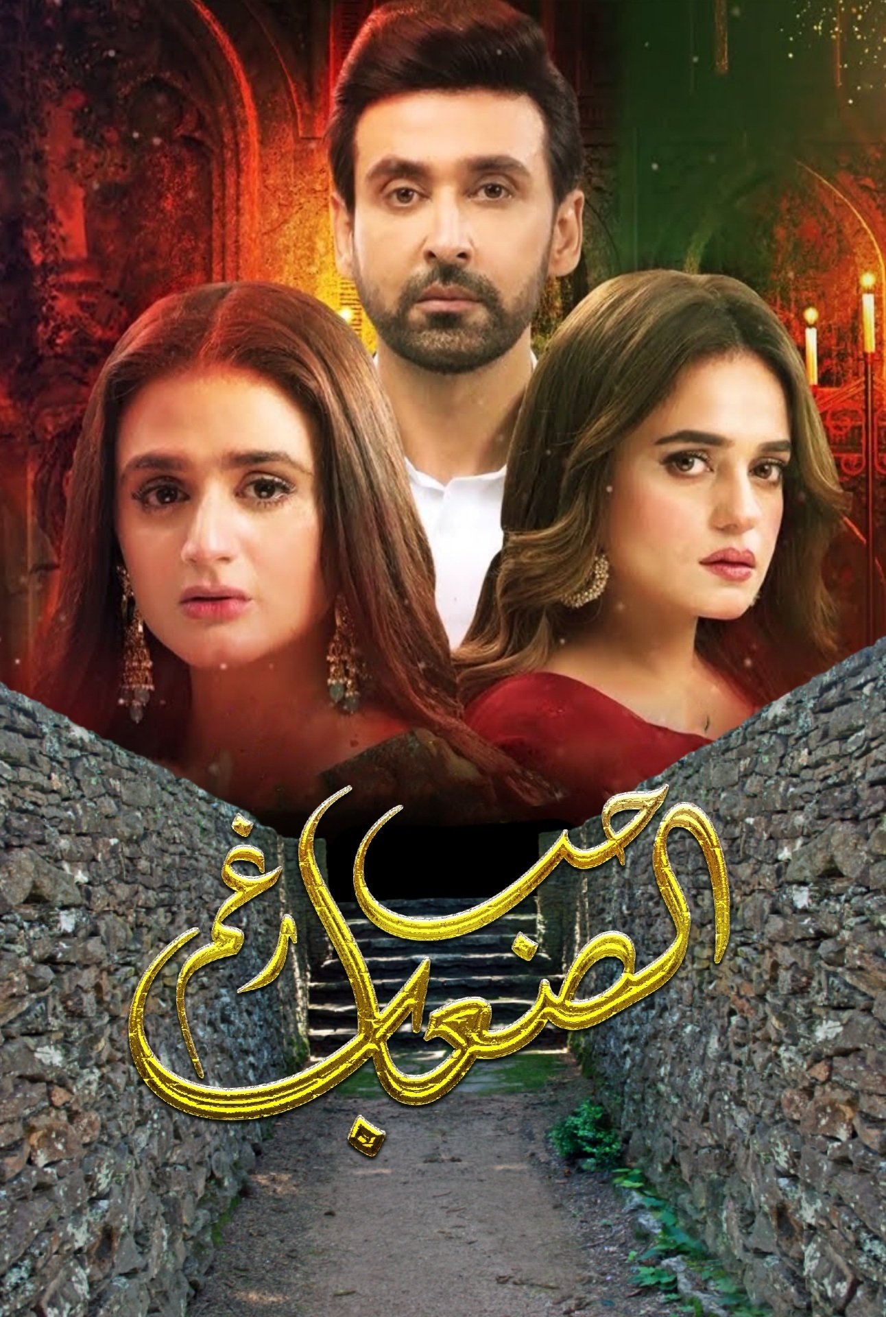 Poster de mein hari piya