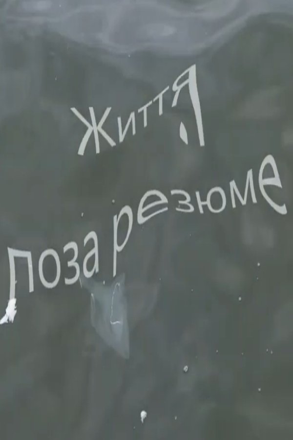 Poster de Життя поза резюме