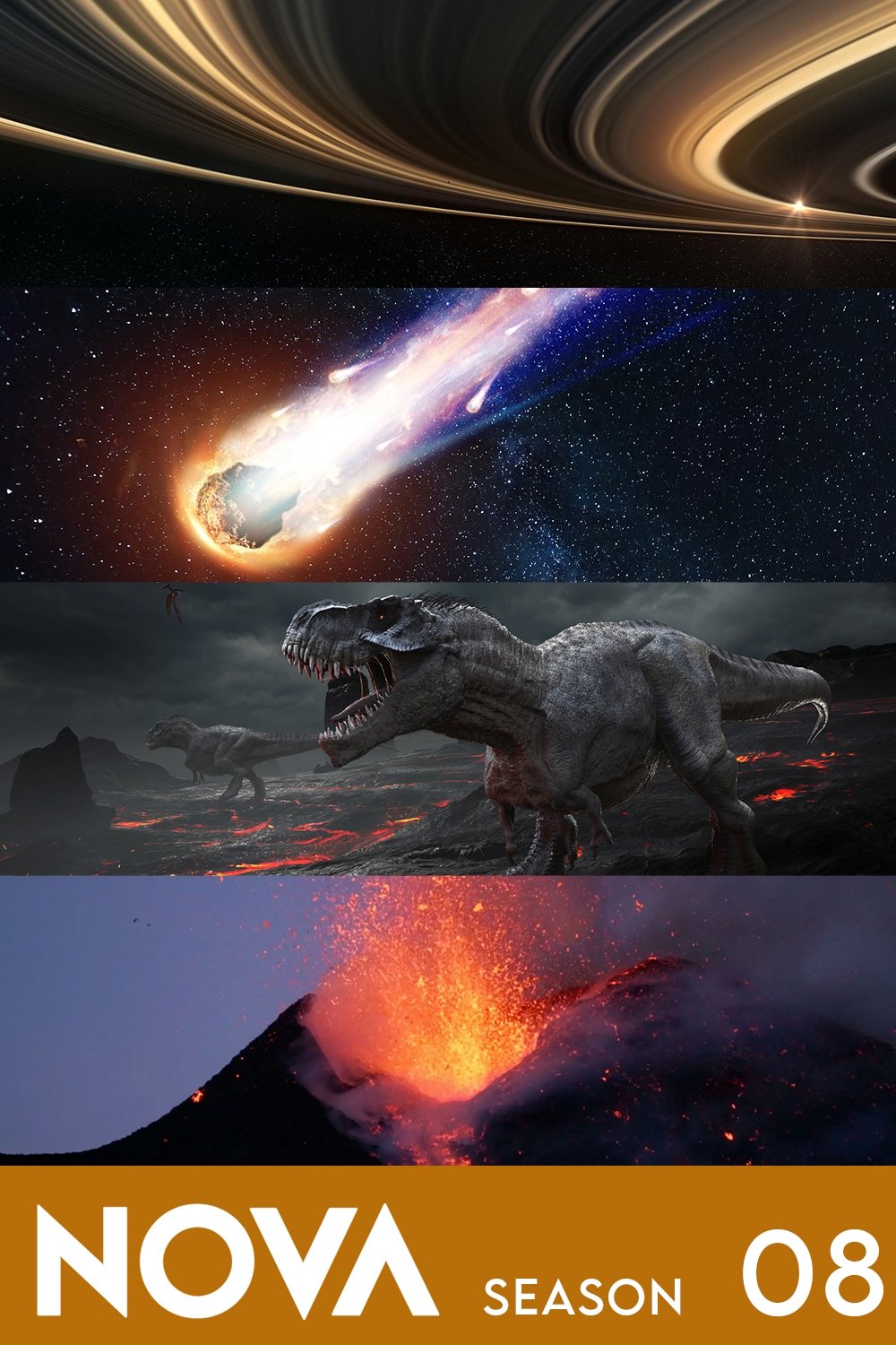 Poster de Temporada 8