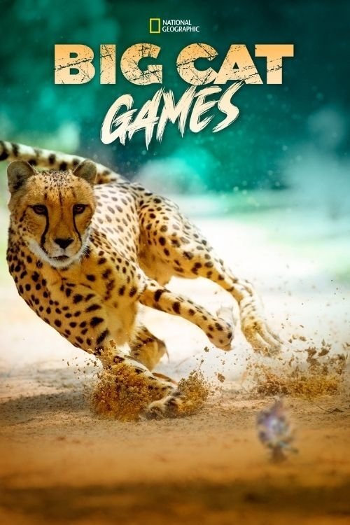 Poster de Jogos Felinos