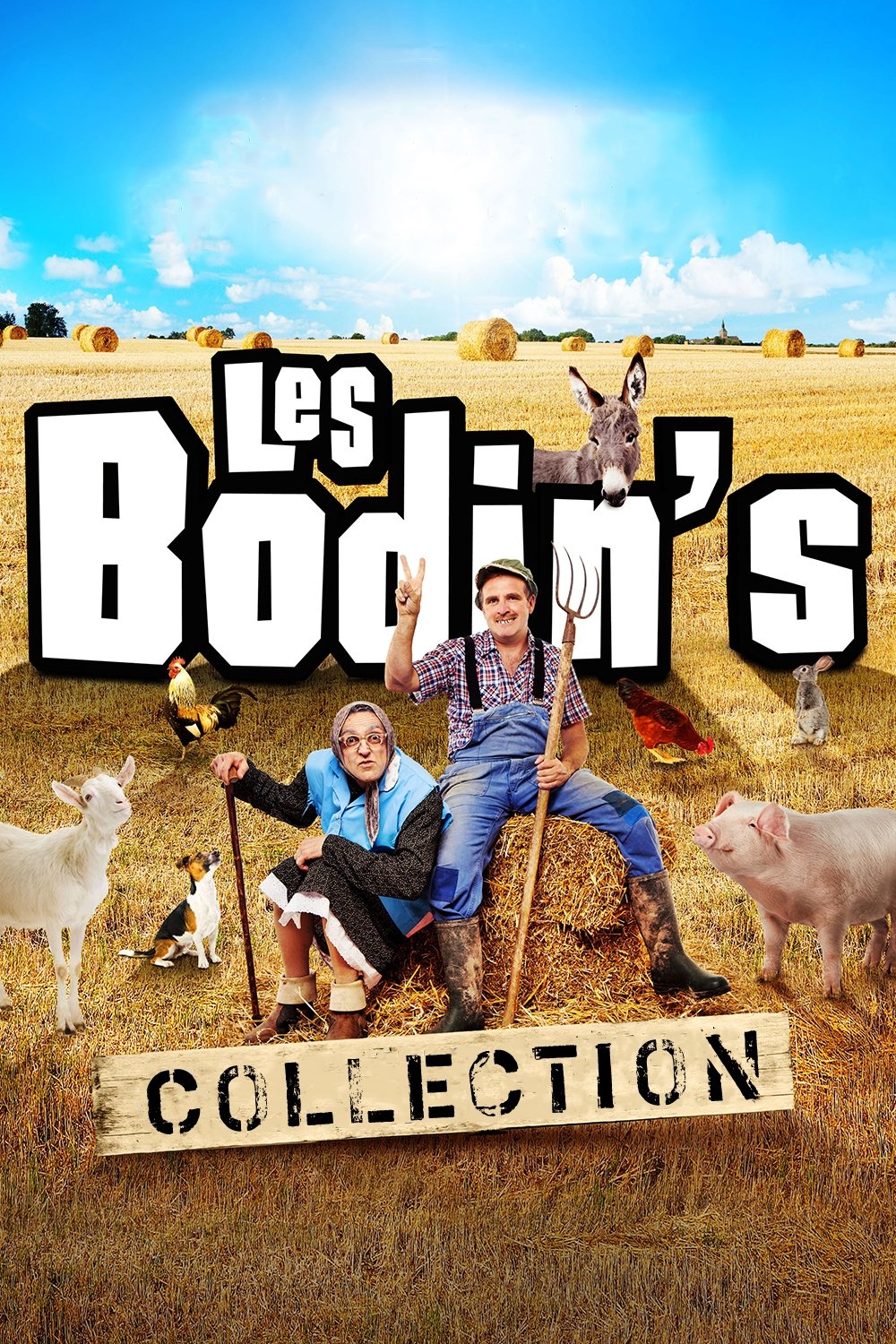 Poster of The Bodin’s Collection