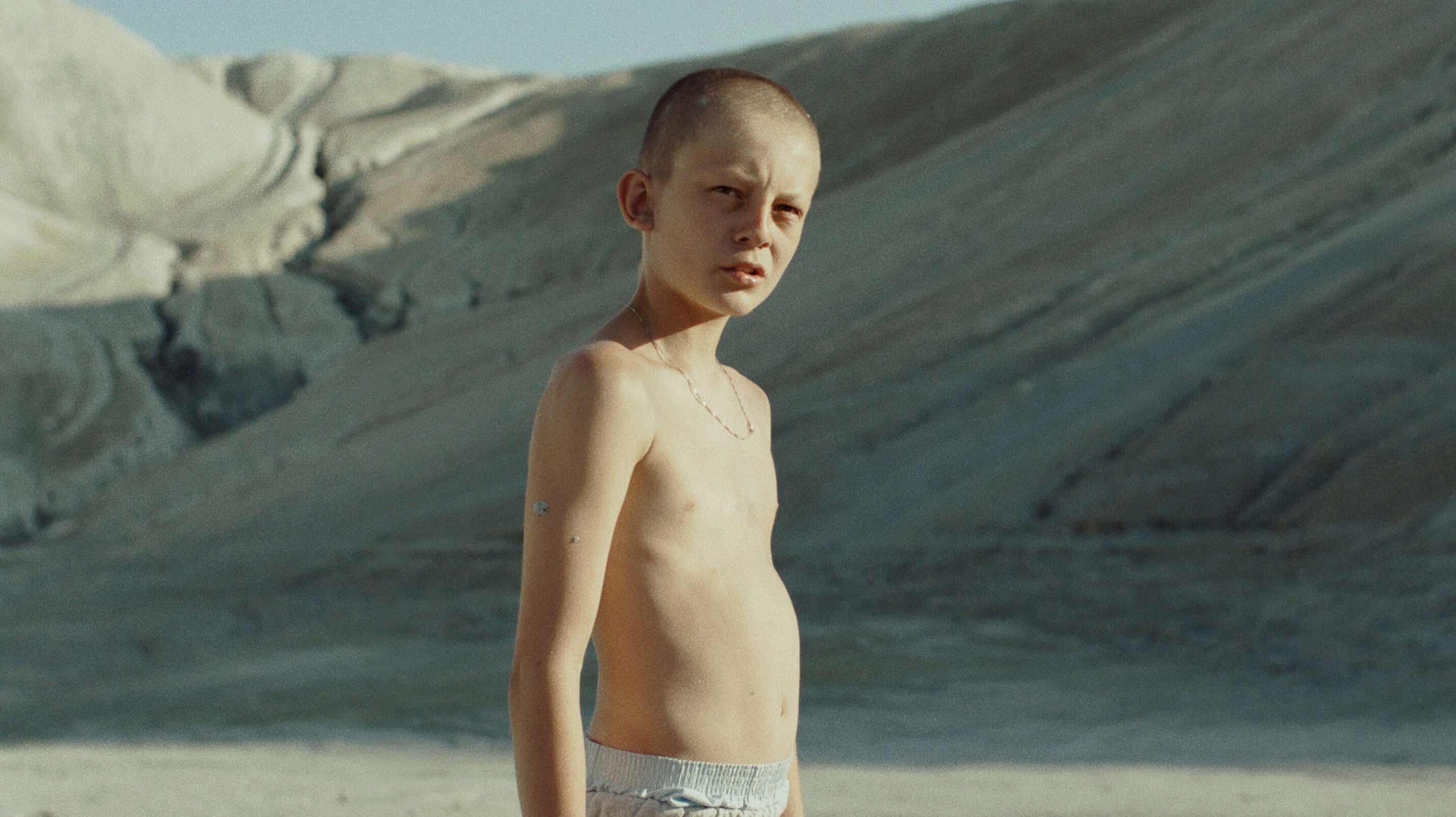 Backdrop of: Fauve | CineWave