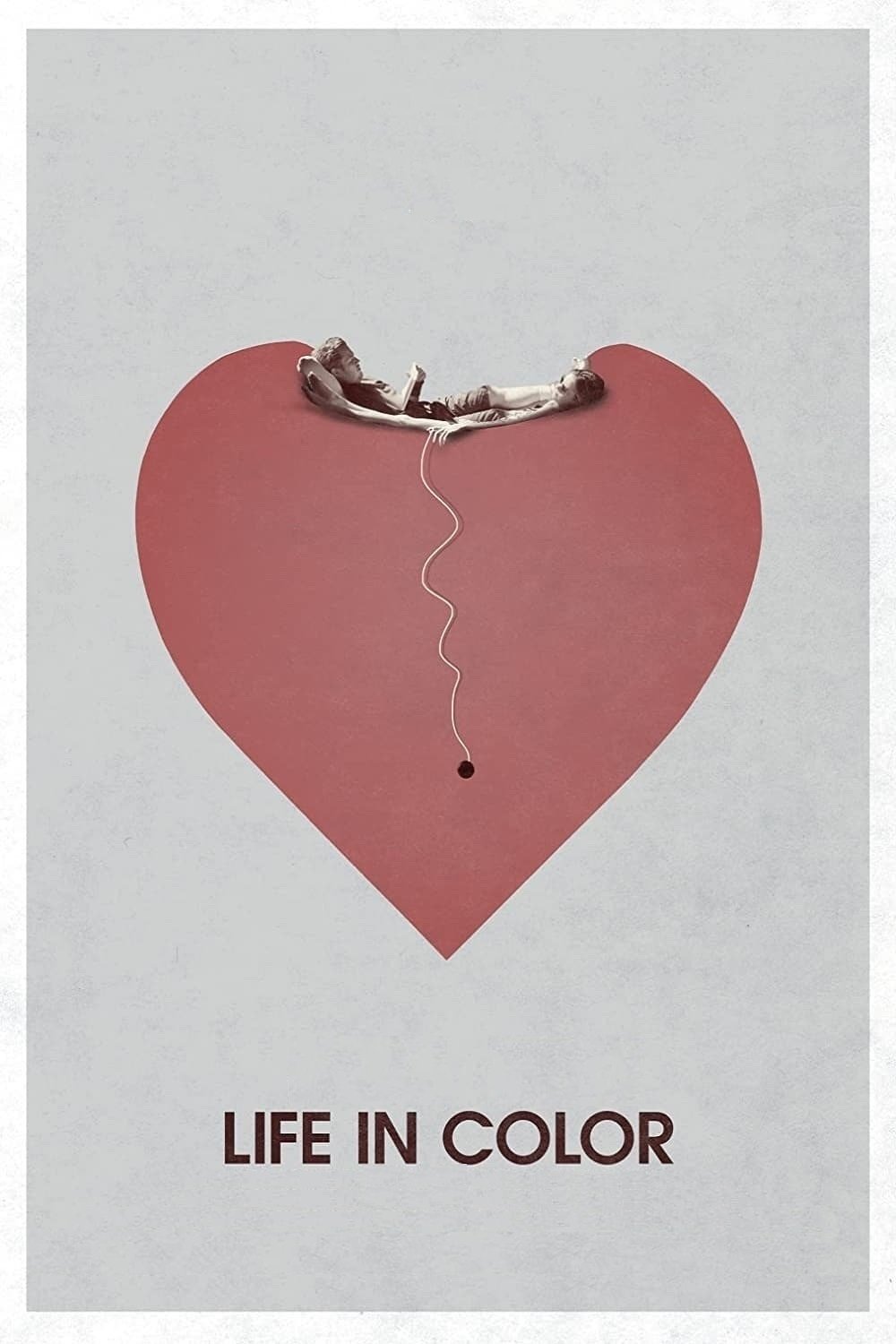 Affiche du film Life in Color