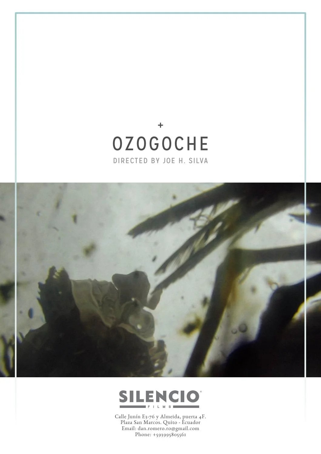 Poster de Ozogoche
