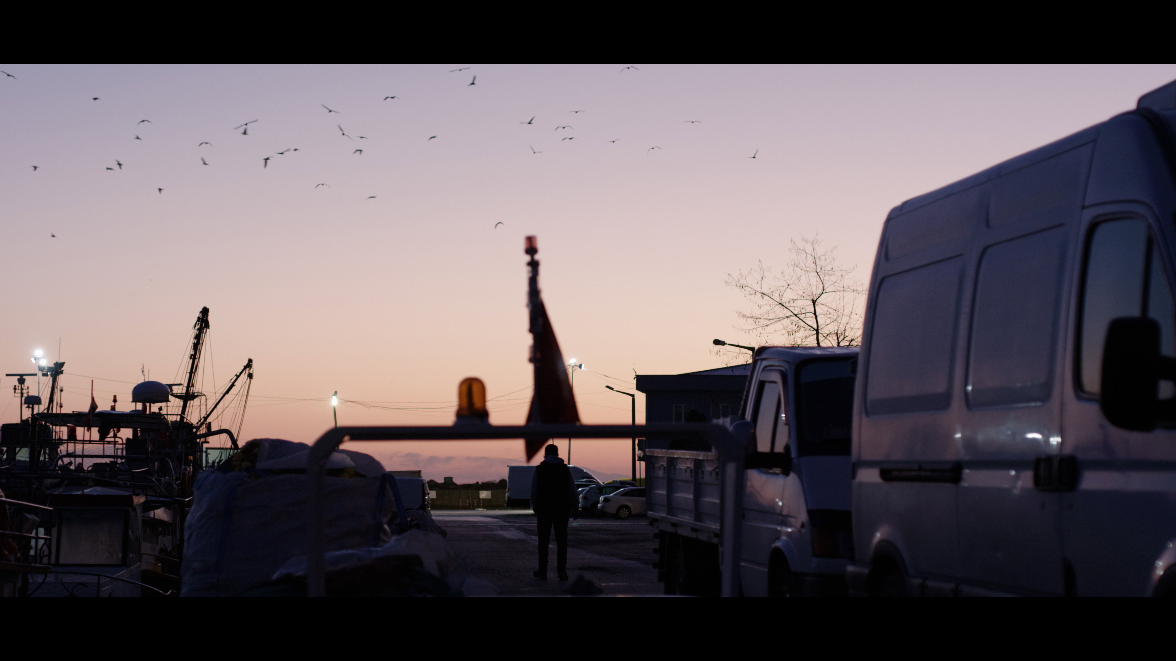 Director