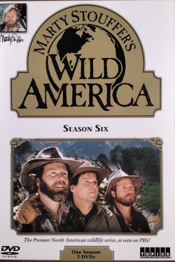 Poster de Temporada 6