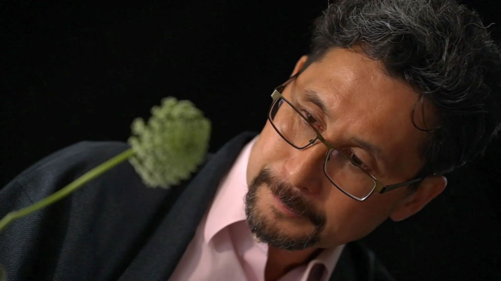 Episode 24 Prune, Heide, Ikebana, Food, Nursery & Possum