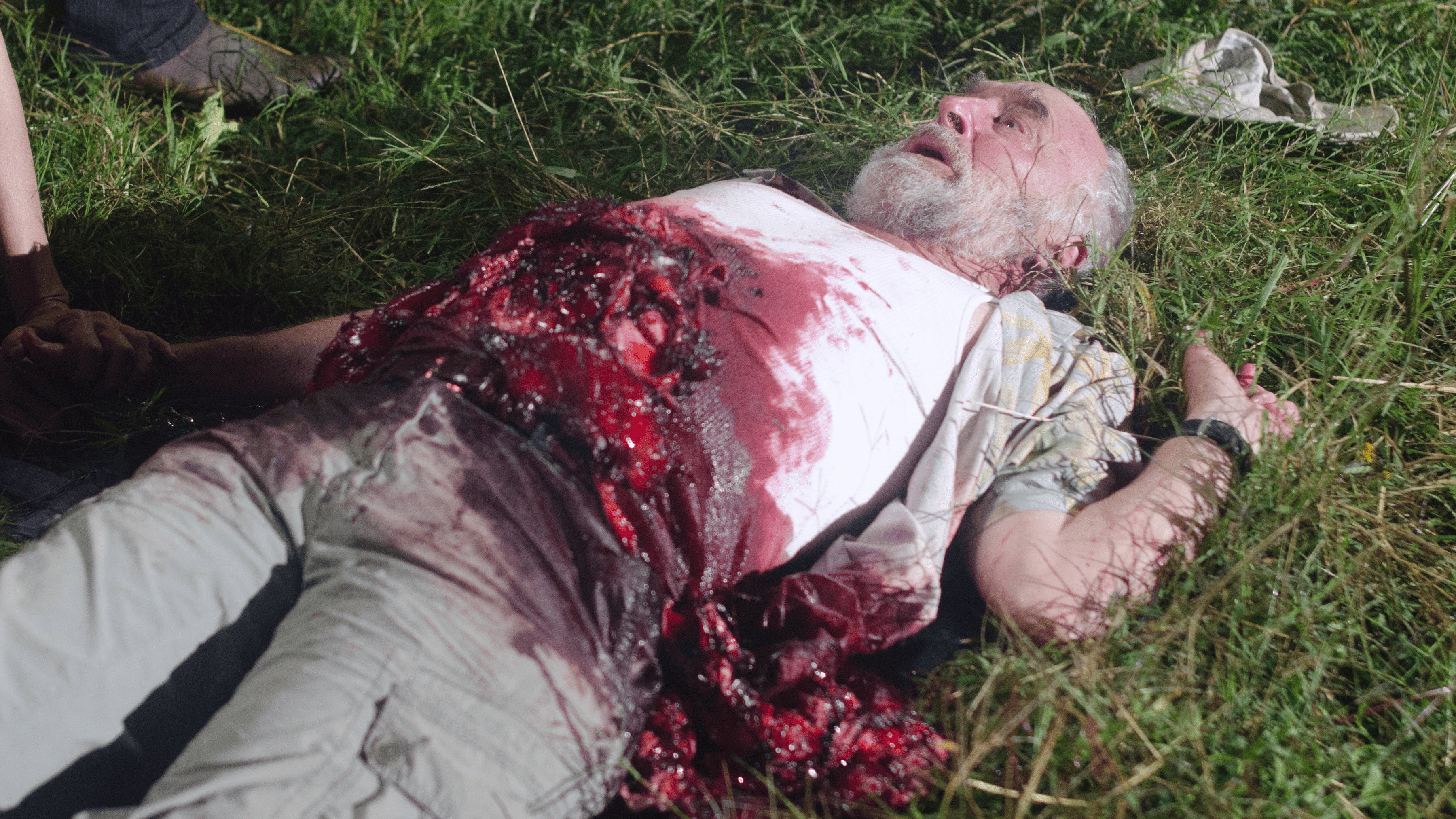 The Walking Dead 2×11