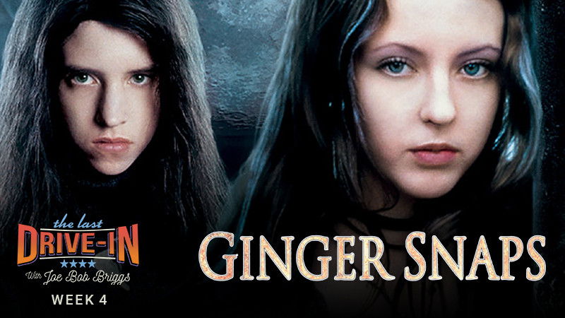 Ginger Snaps