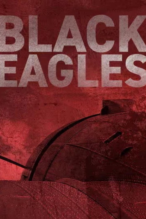 Poster de Black Eagles