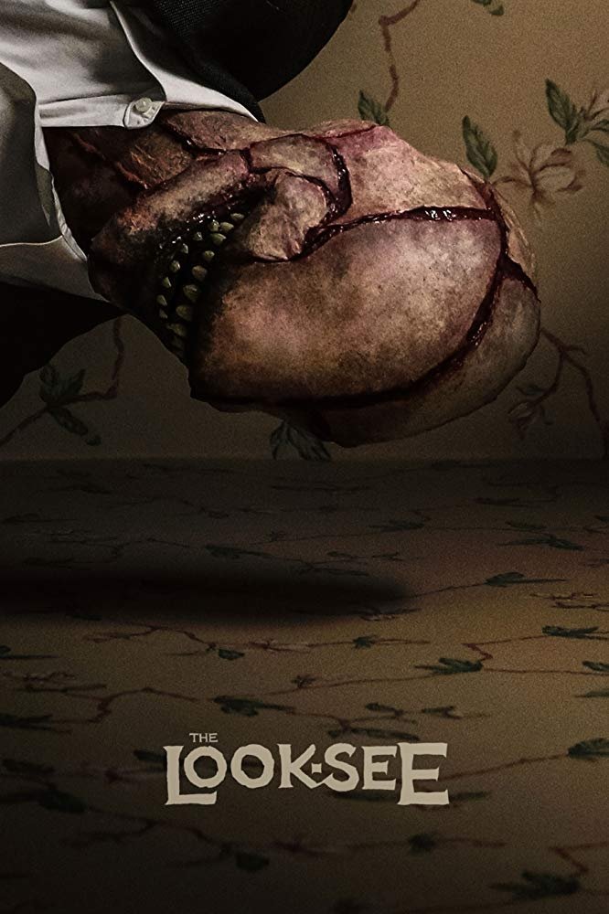 Poster de The Look-See