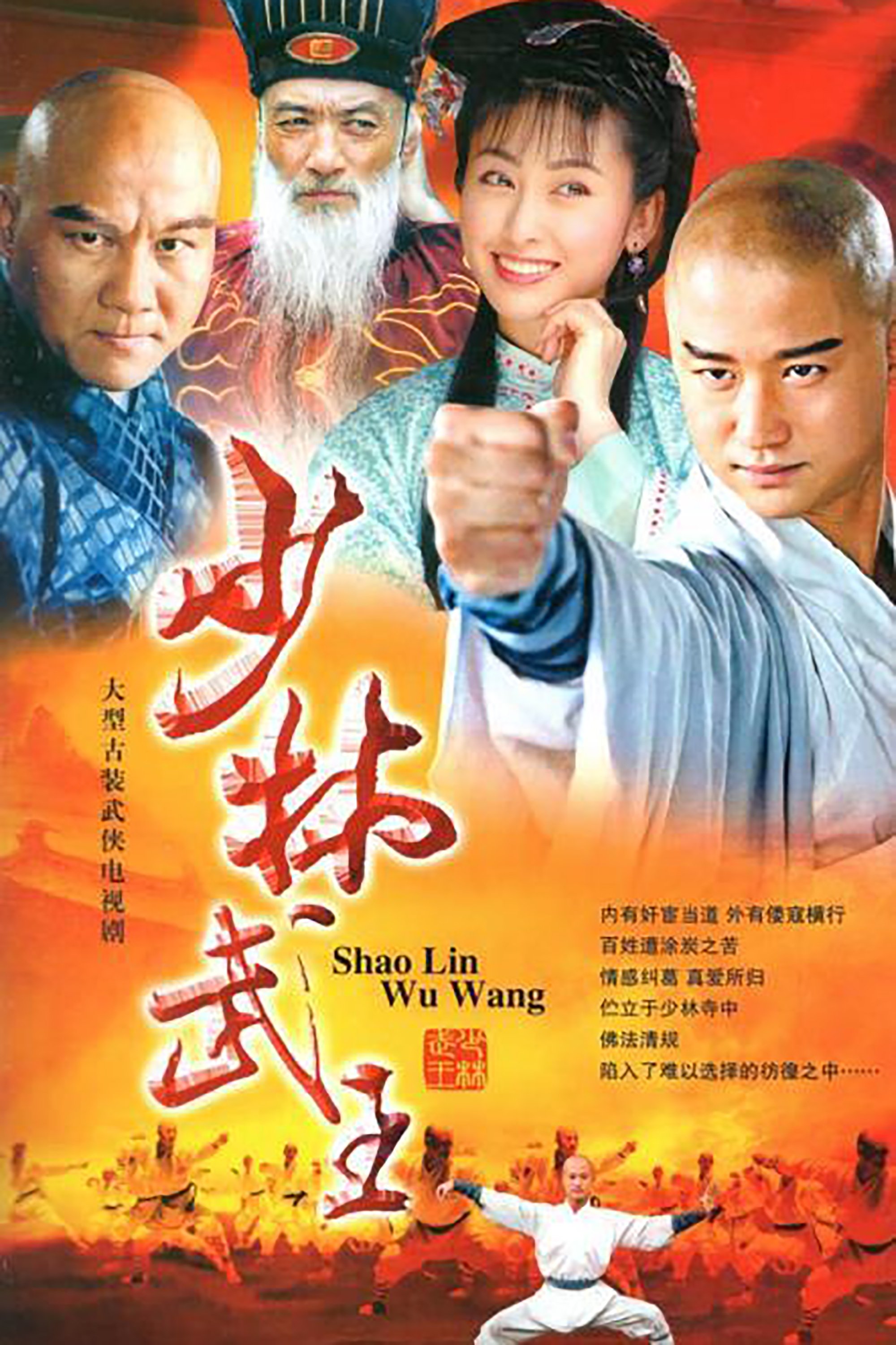 Poster de 少林武王