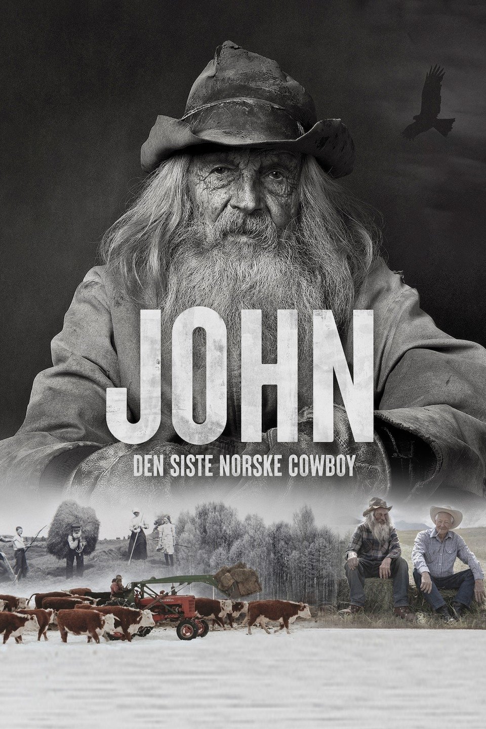Poster de John: Den Siste Norske Cowboy