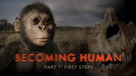 Becoming Human: First Steps