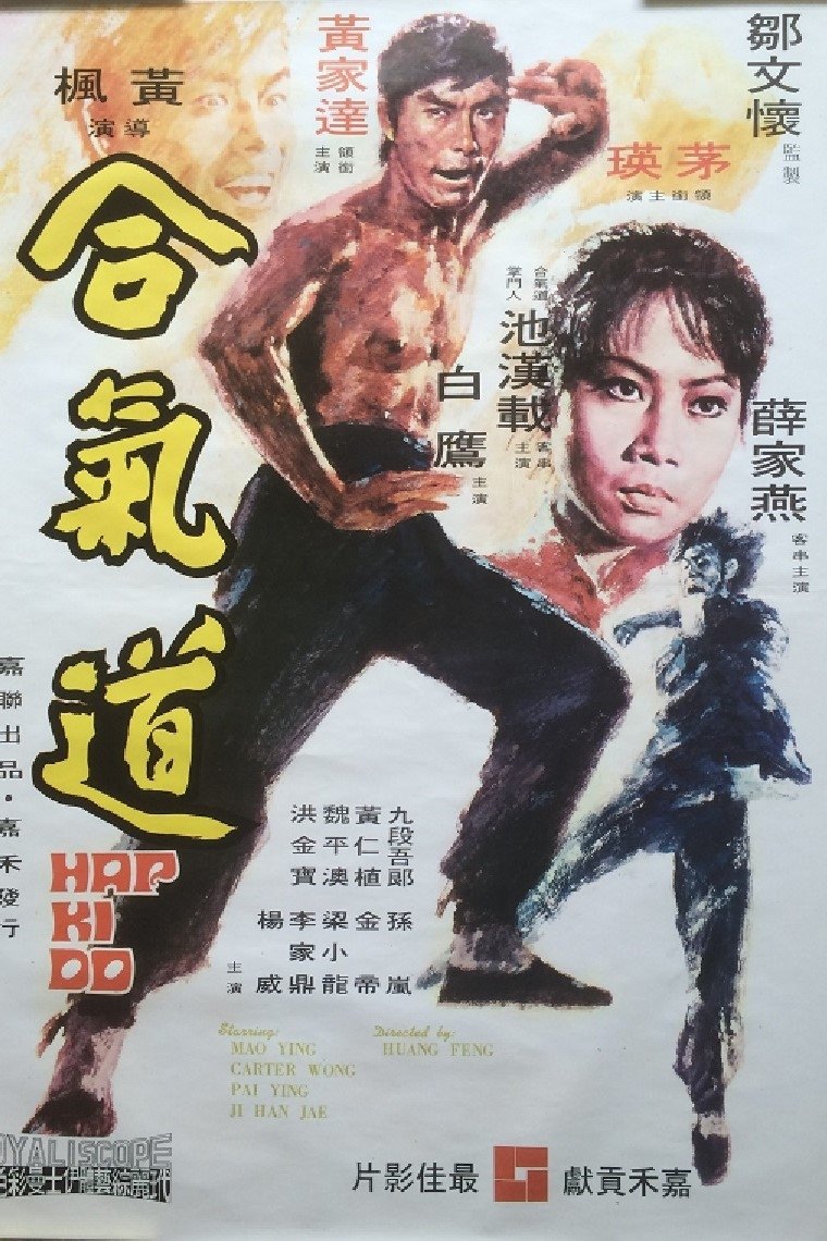 Poster de Hapkido