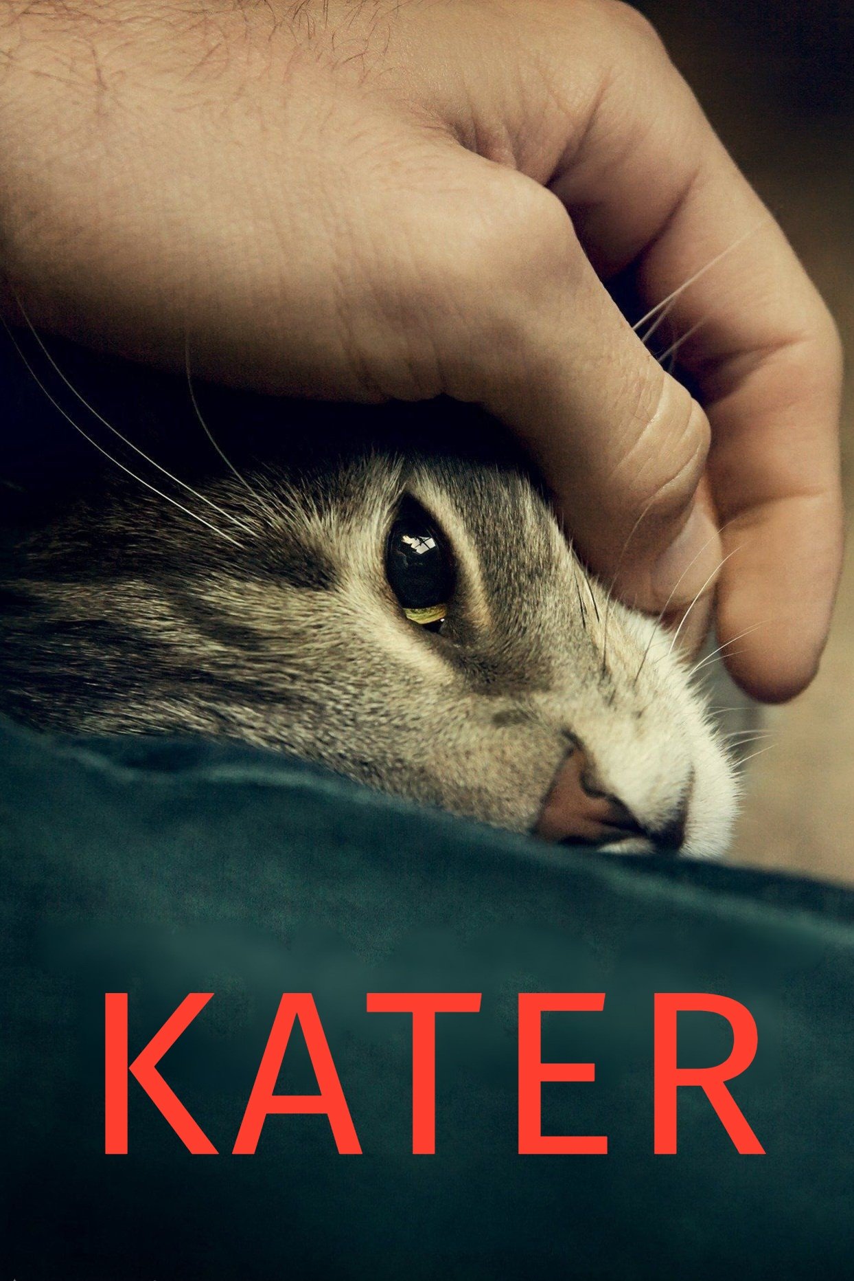 Poster de Kater