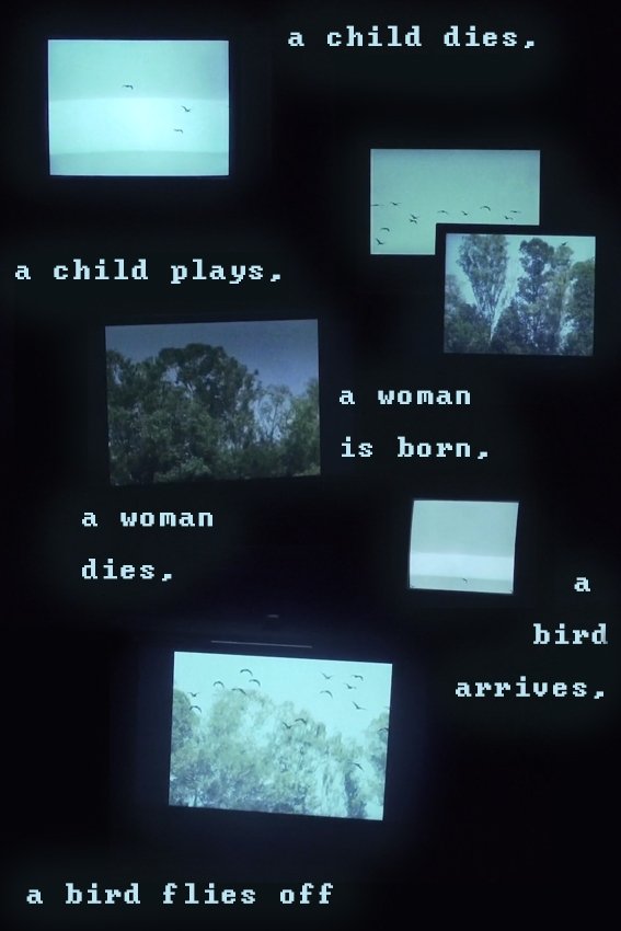 Poster de A child dies, a child plays, a woman is born, a woman dies, a bird arrives, a bird flies off