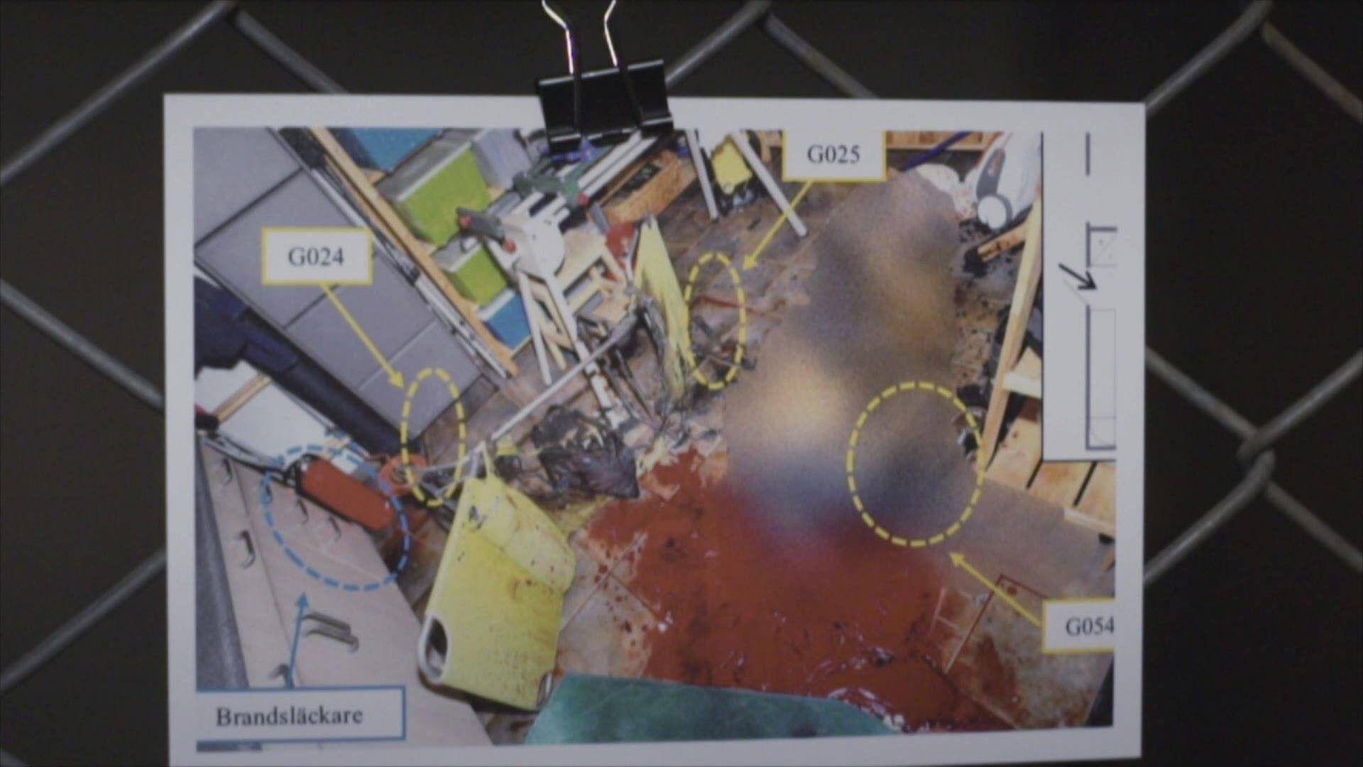 Cecilia and the axe murder