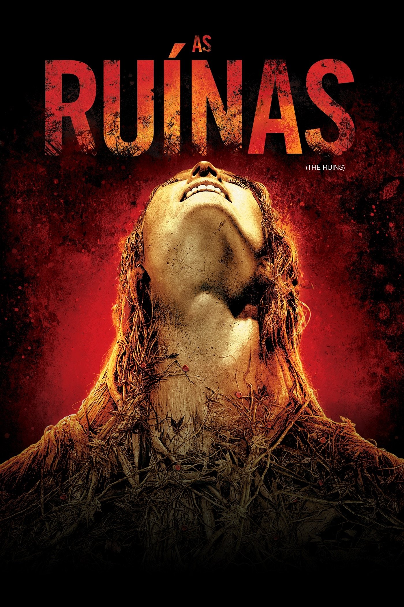 Poster de As Ruínas