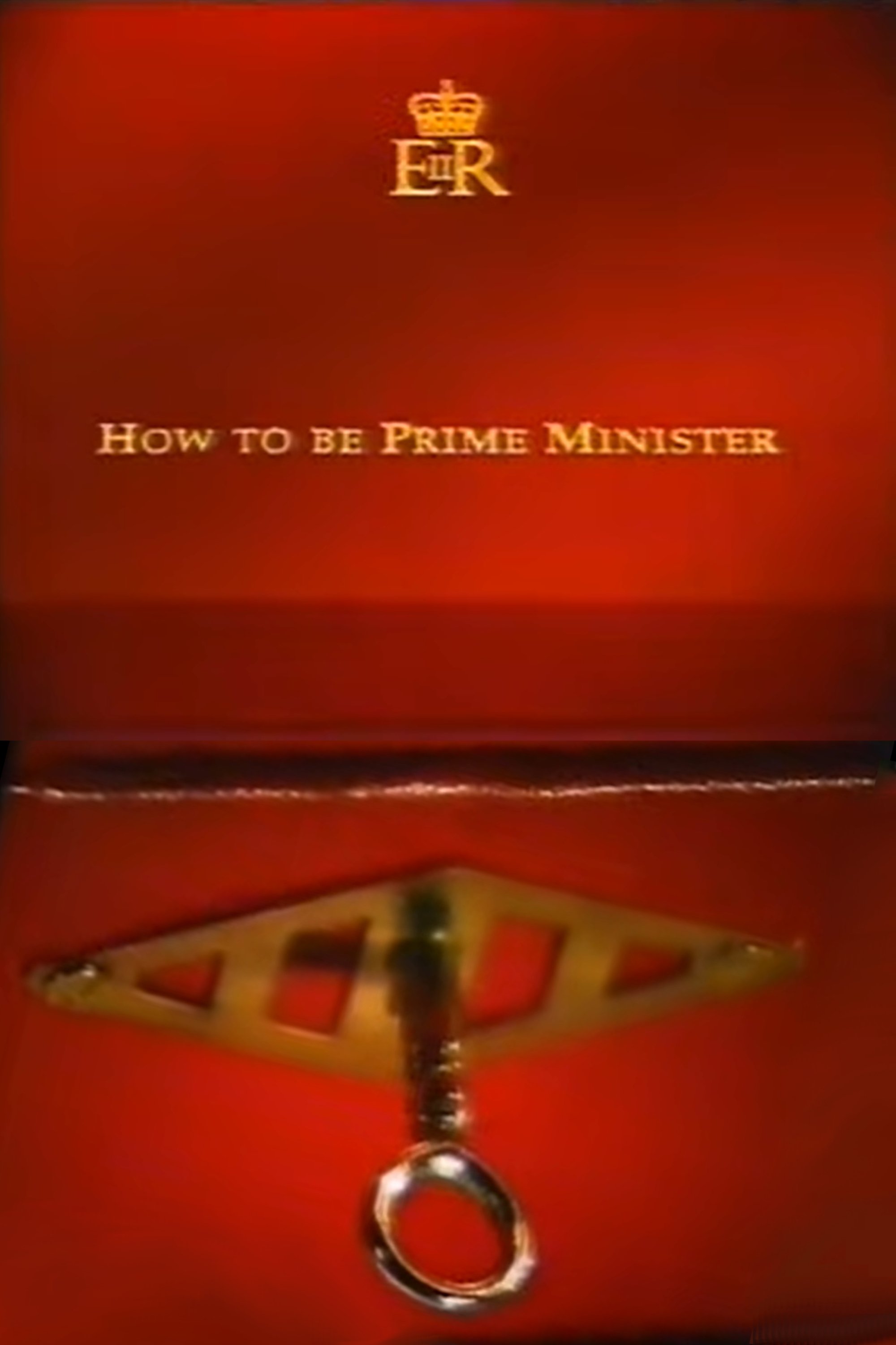 Affiche du film How to Be Prime Minister