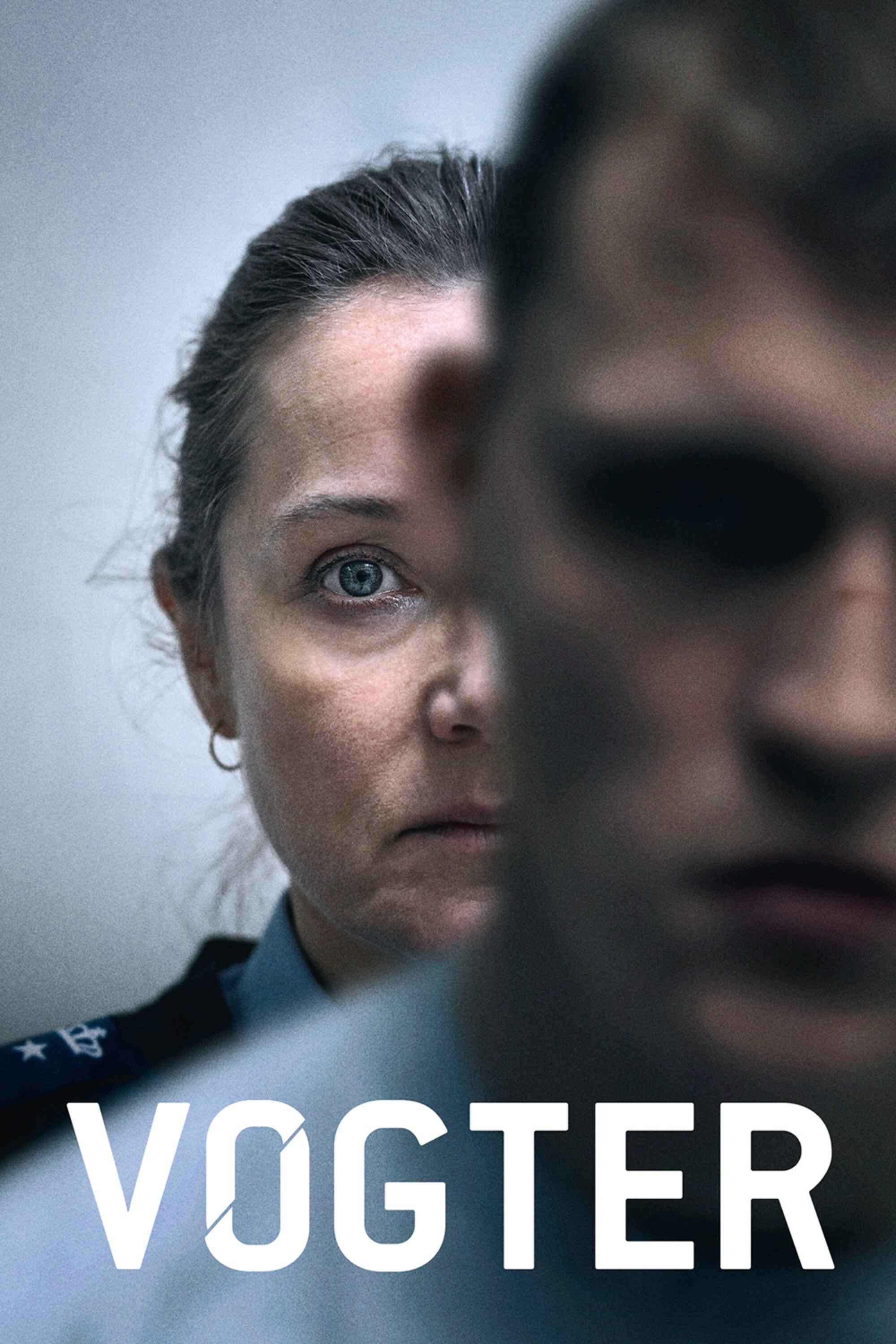 Poster de Vogter
