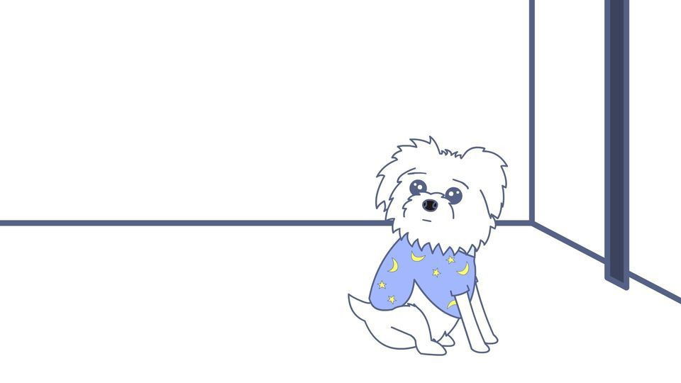 Dogs & Disappointment