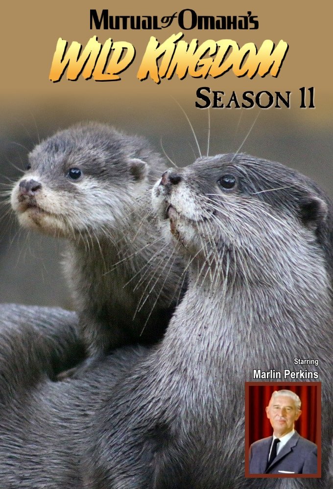 Poster de Temporada 11
