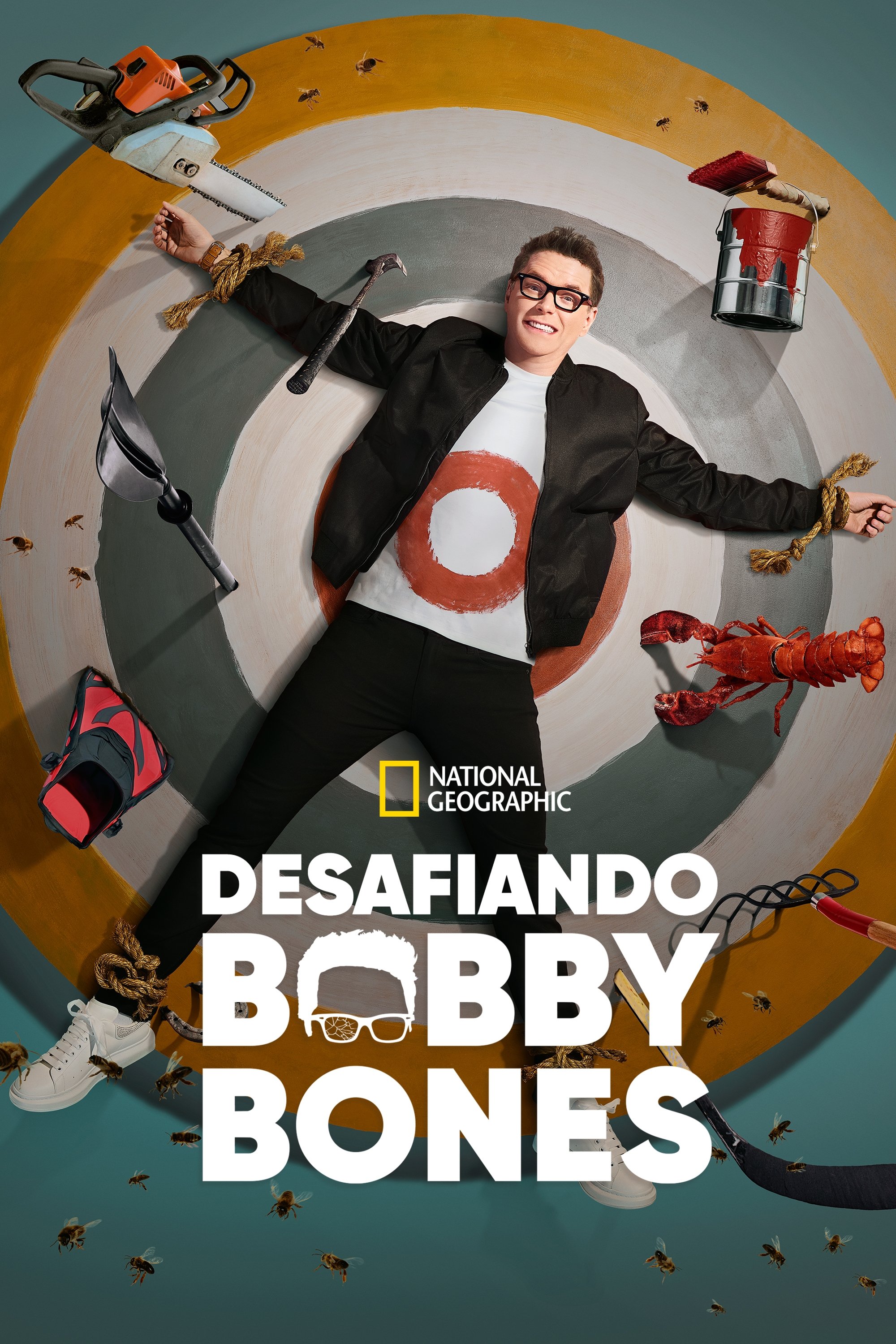 Poster de Desafiando Bobby Bones