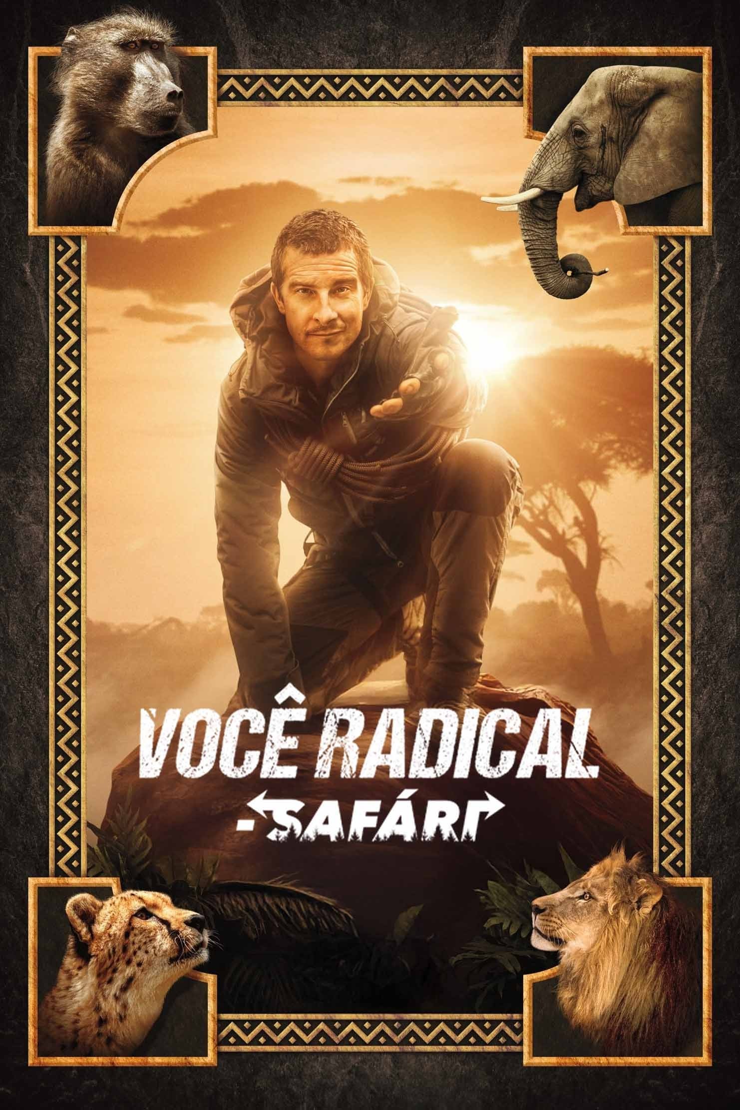 Poster de Você Radical - Safári