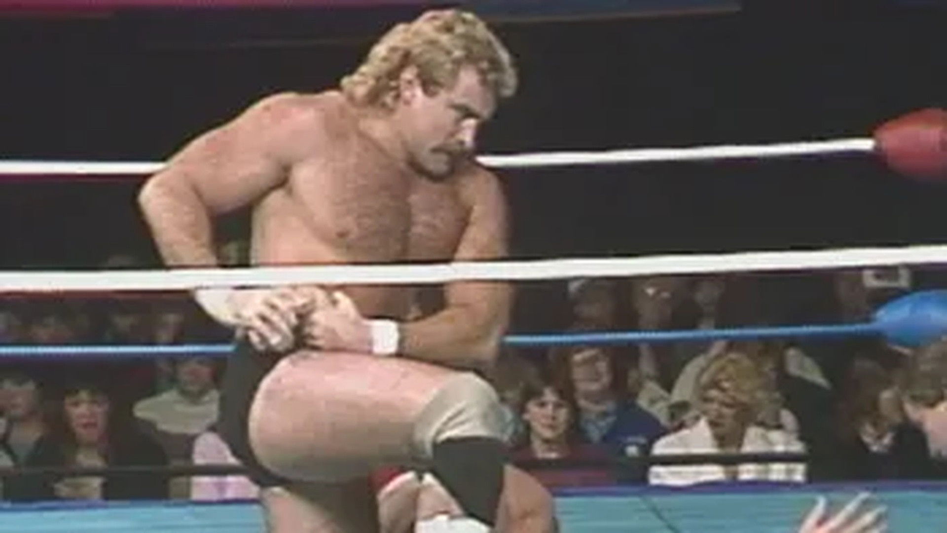 Mid-South Wrestling - Nov. 24, 1984