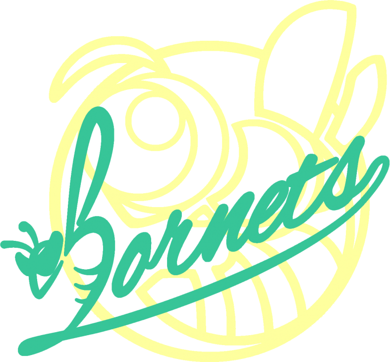 HORNETS