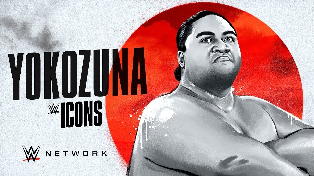WWE Icons
