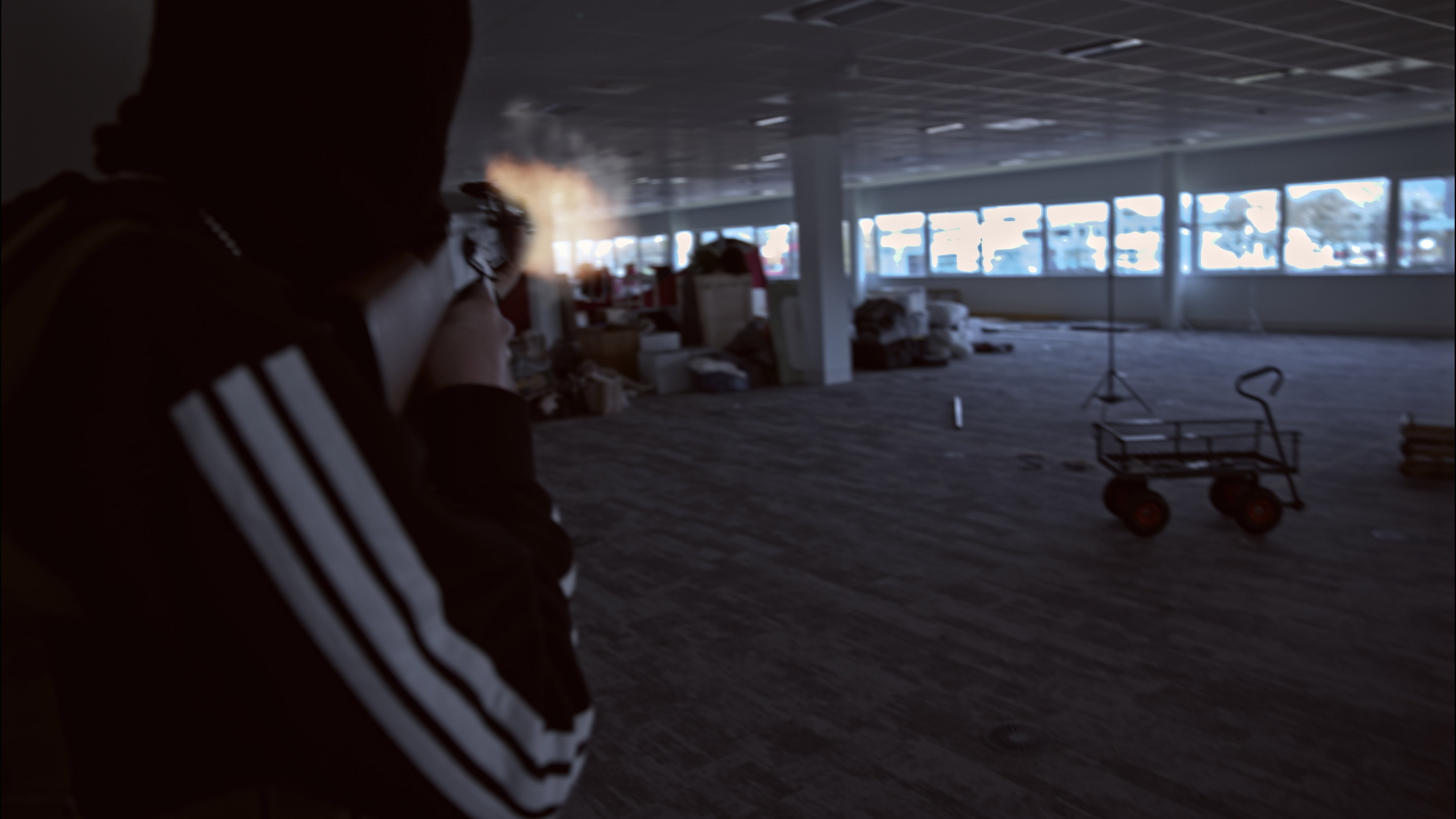 Director