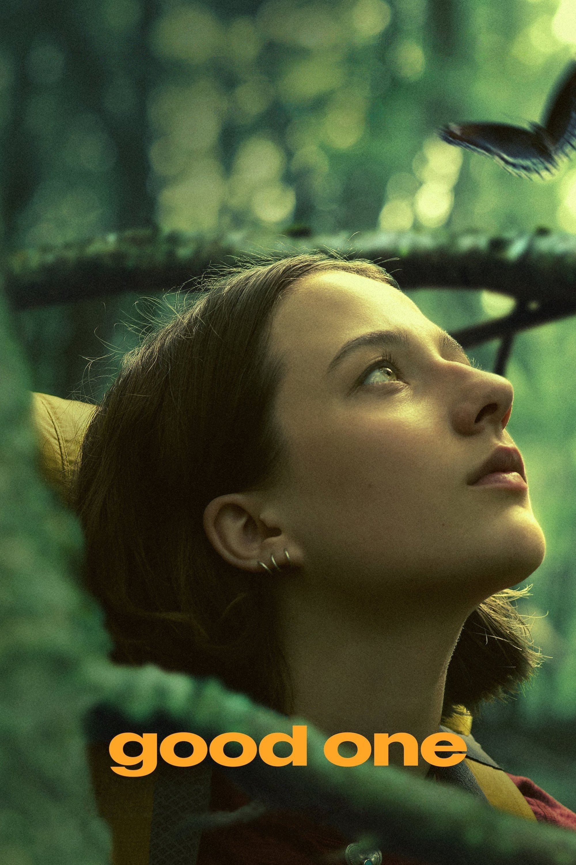 Poster for Good One