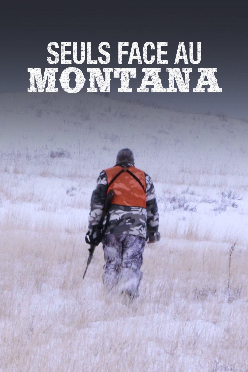Poster de Montana Wild