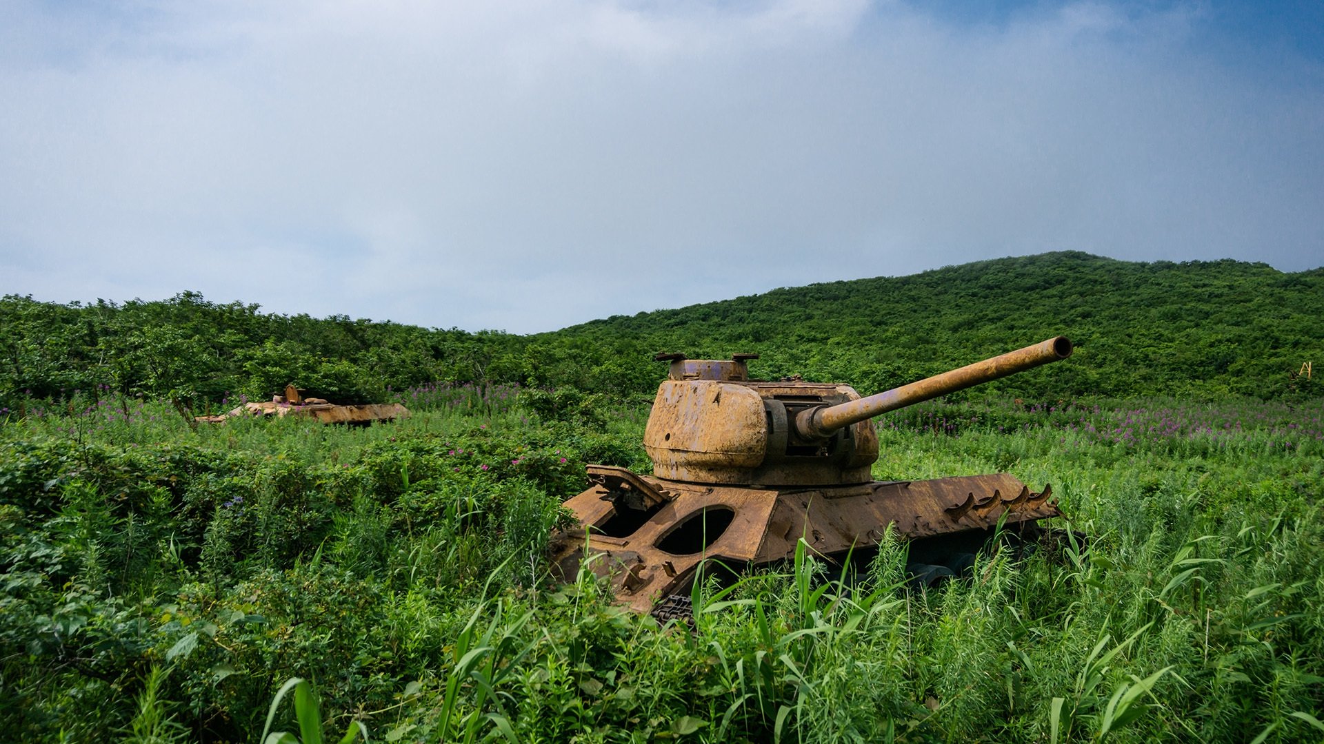Chasseurs de tanks