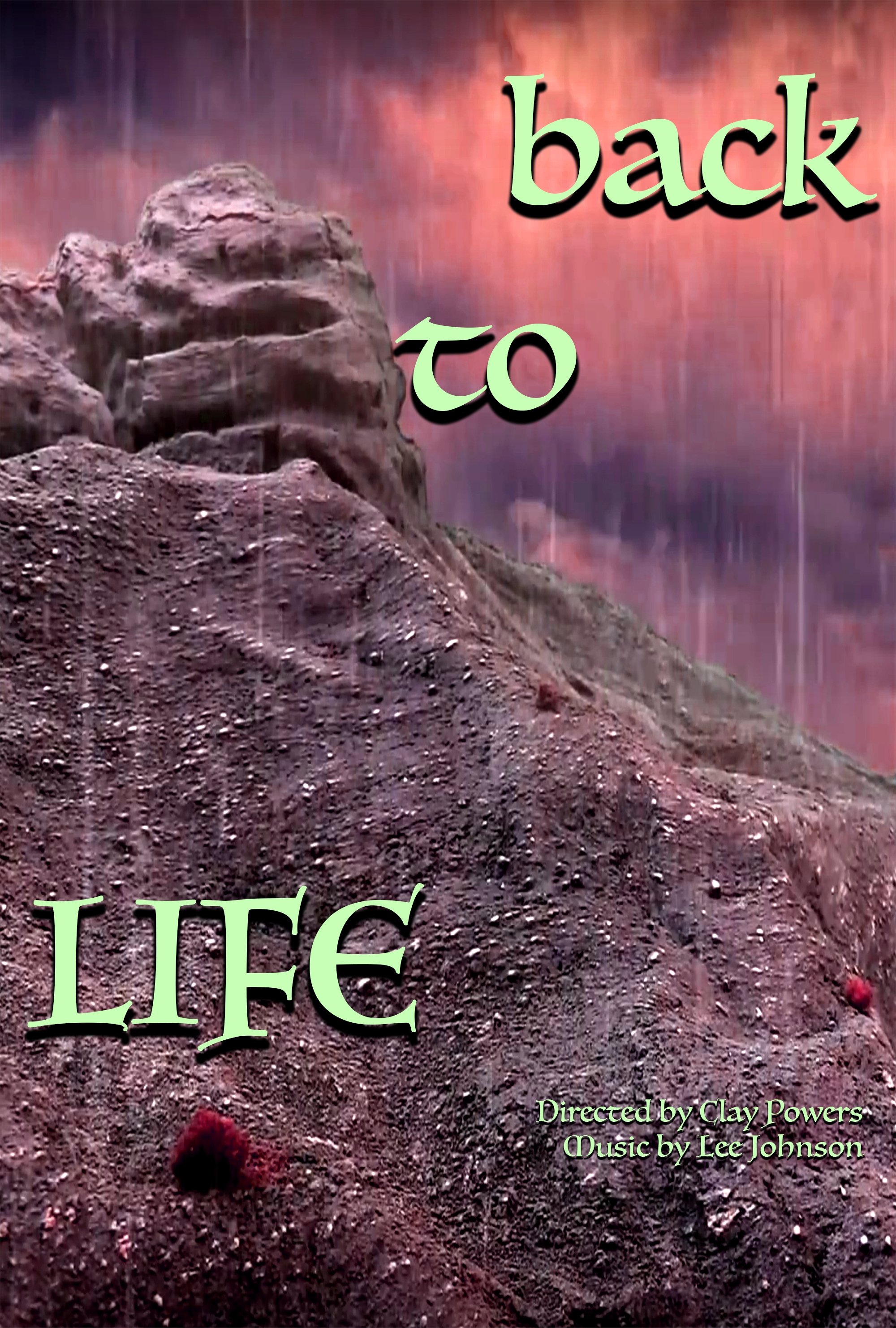 Poster de Back To Life