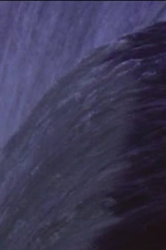 Poster de Five Year Diary, Reel 31: Niagara Falls (August 19–28, 1983)