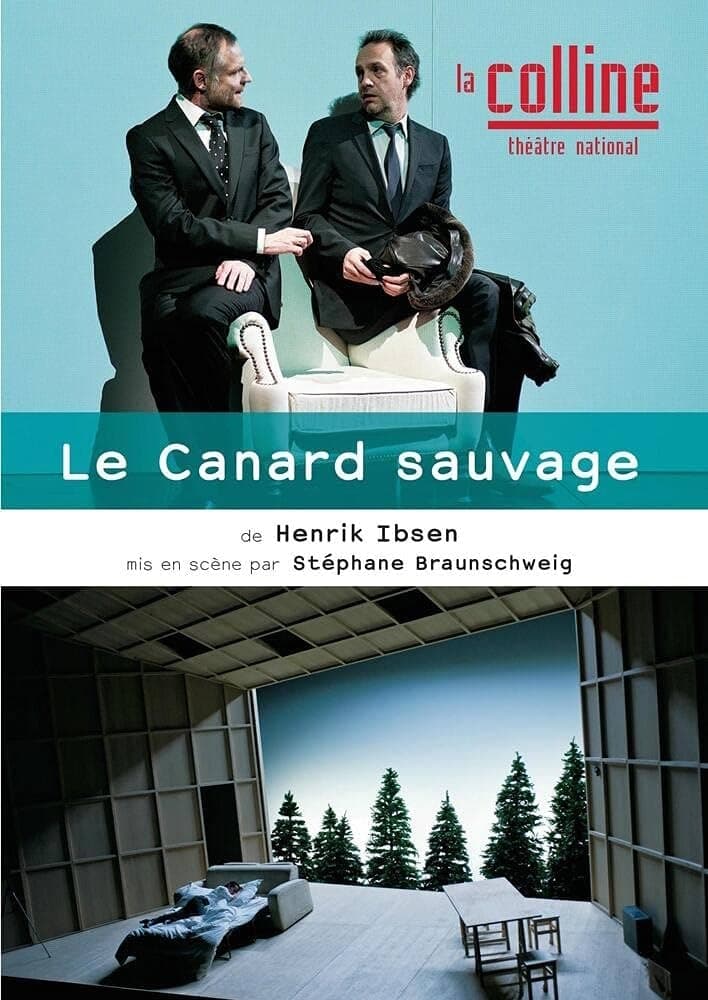 Affiche du film Le Canard sauvage