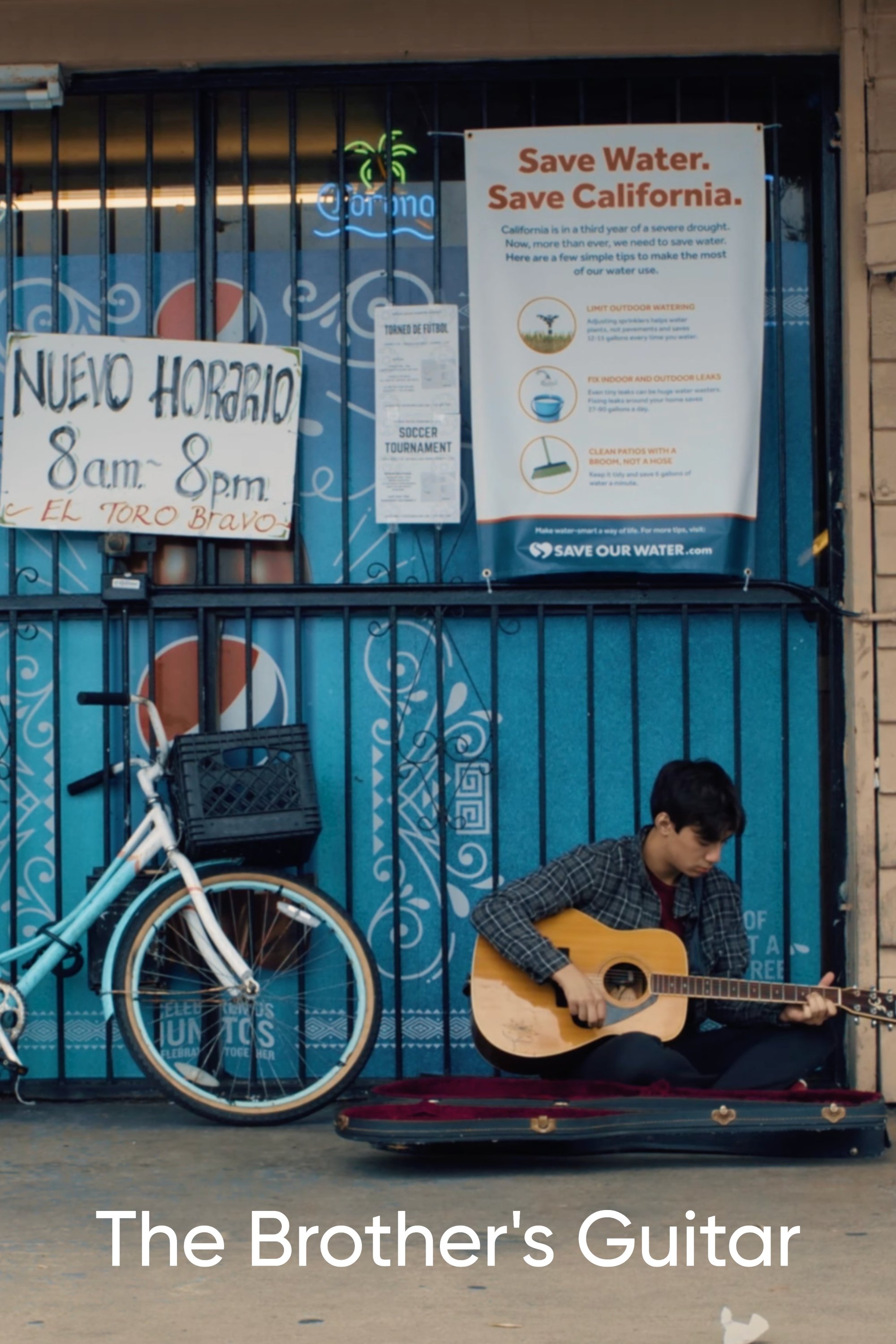 Poster de The Brother's Guitar
