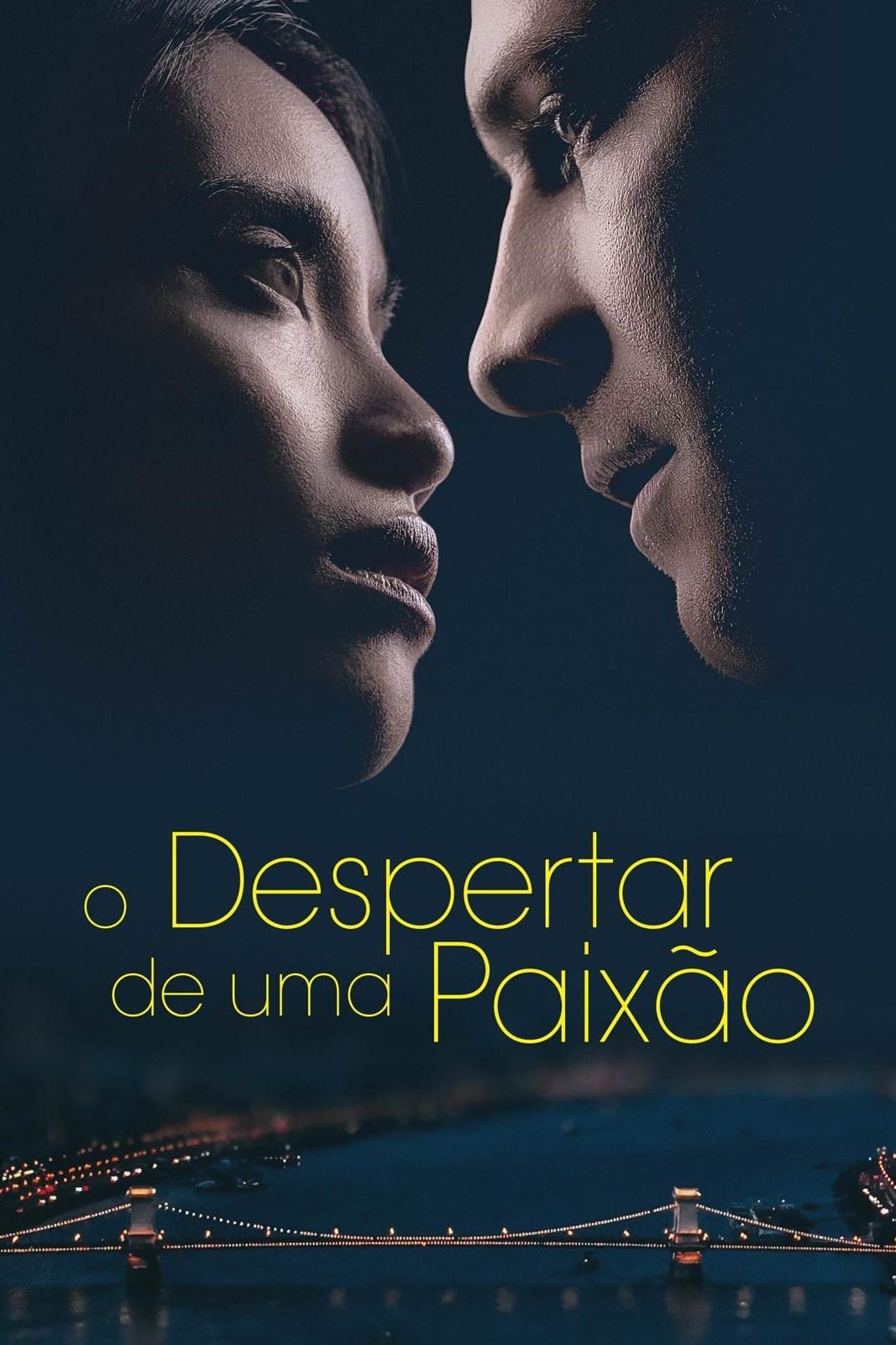 Poster de O Despertar de Uma Paixão
