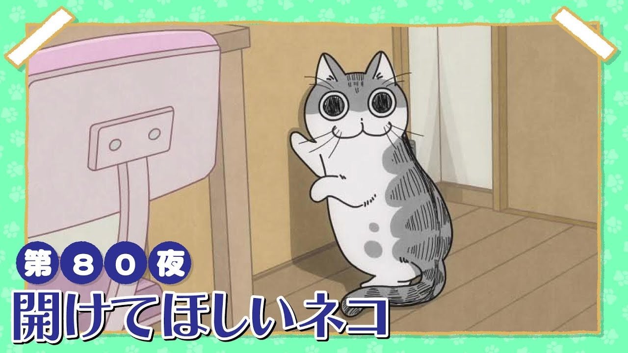 Night 80: The Cat Who Wants the Door Opened