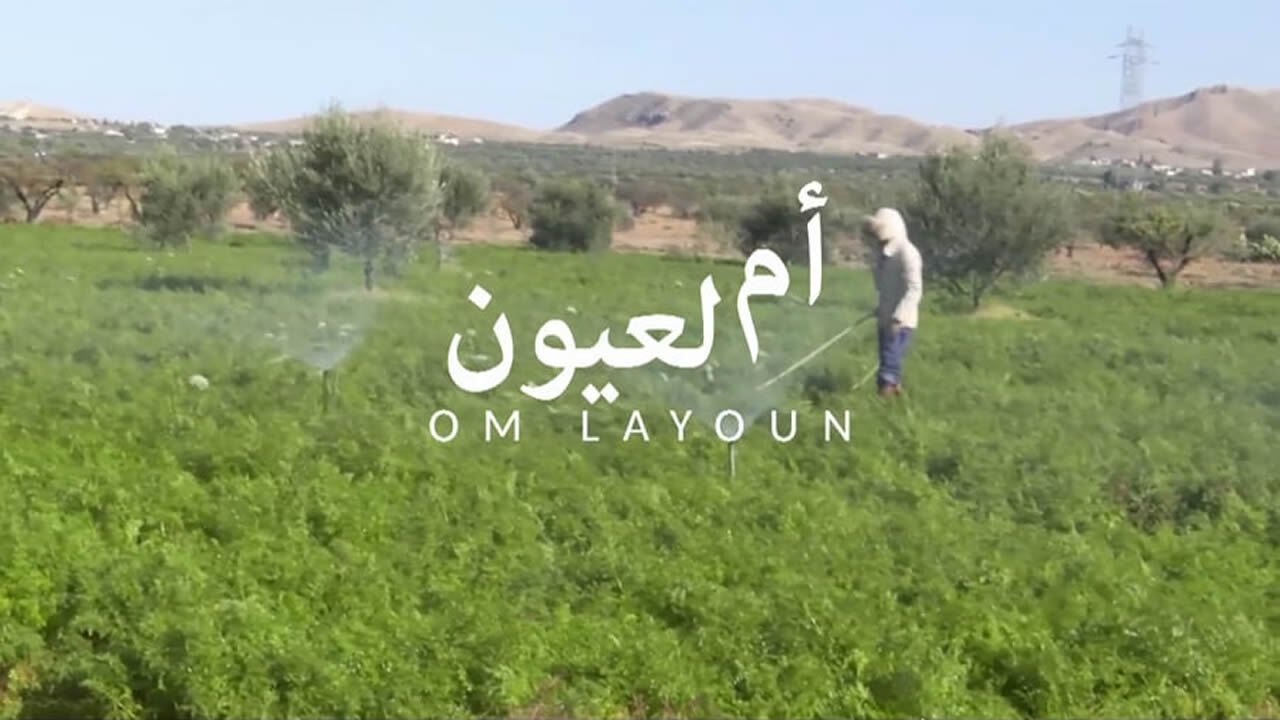 Habib Ayeb