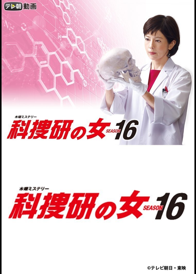 Poster de Temporada 16