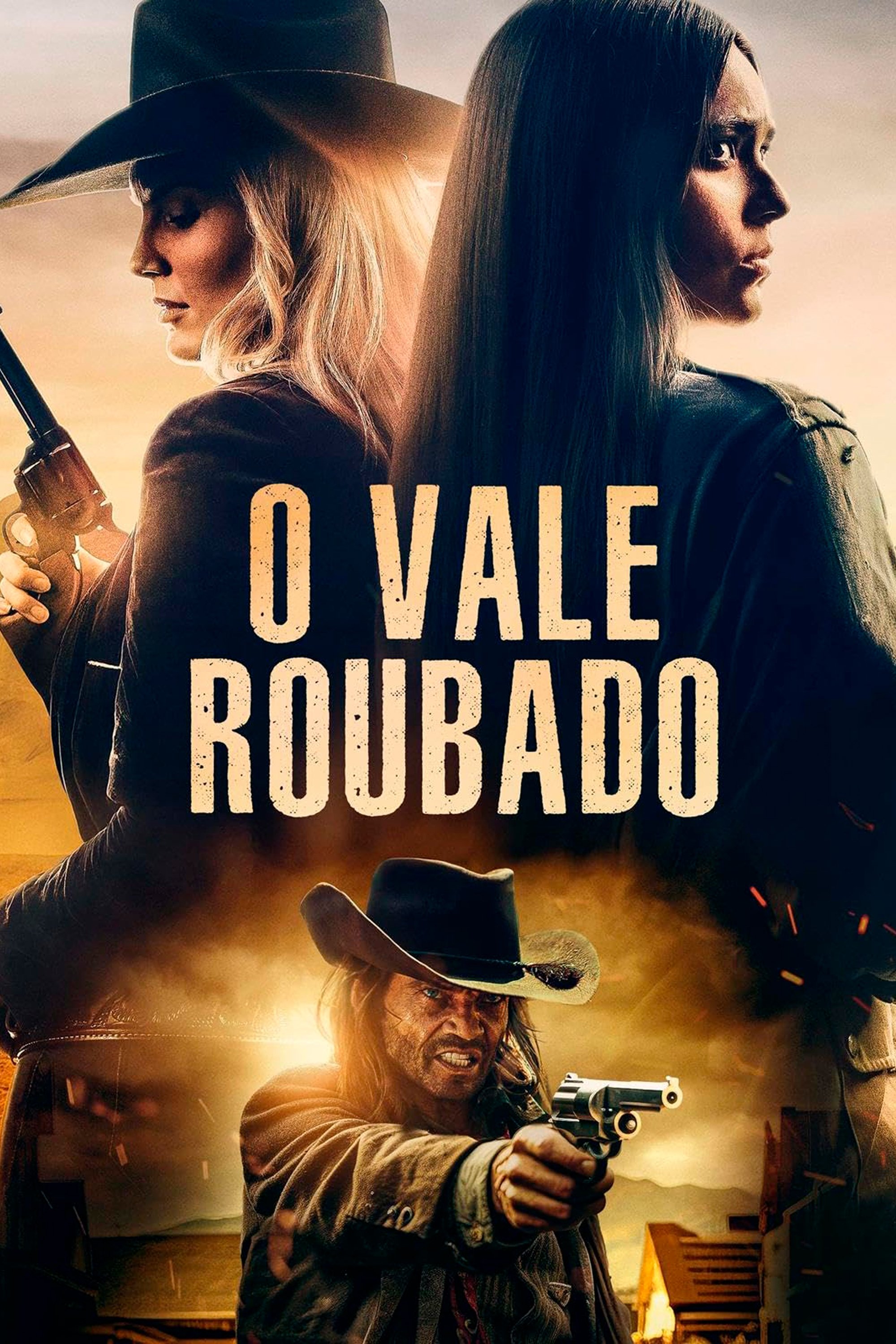 Poster de O Vale Roubado
